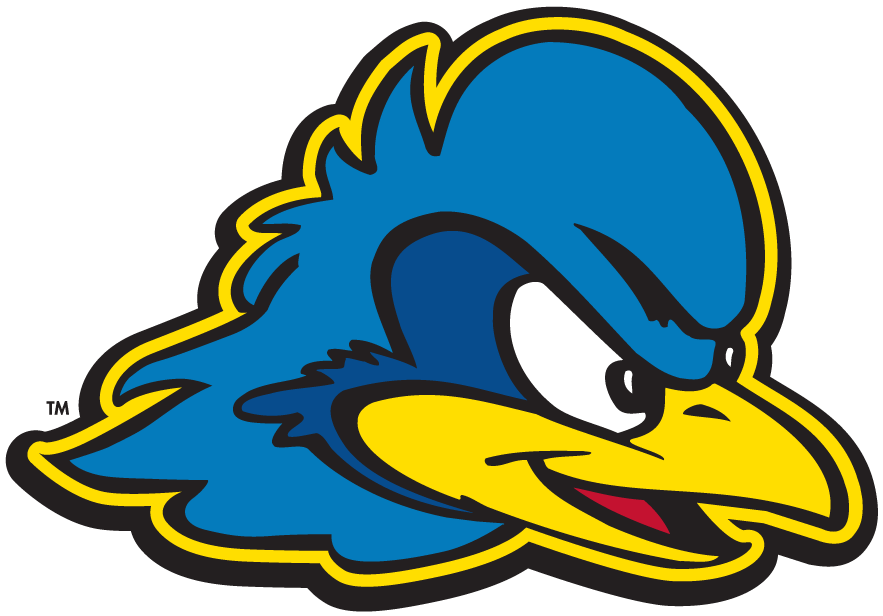 Delaware Blue Hens 2009-Pres Secondary Logo v2 DIY iron on transfer (heat transfer)